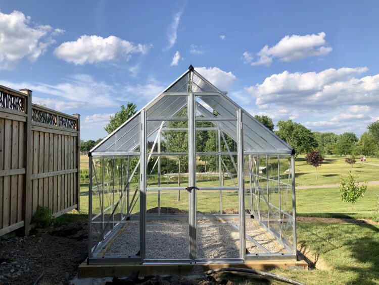 Our Palram-Canopia 8x8 ft Balance polycarbonate backyard greenhouse kit immediately after construction.
