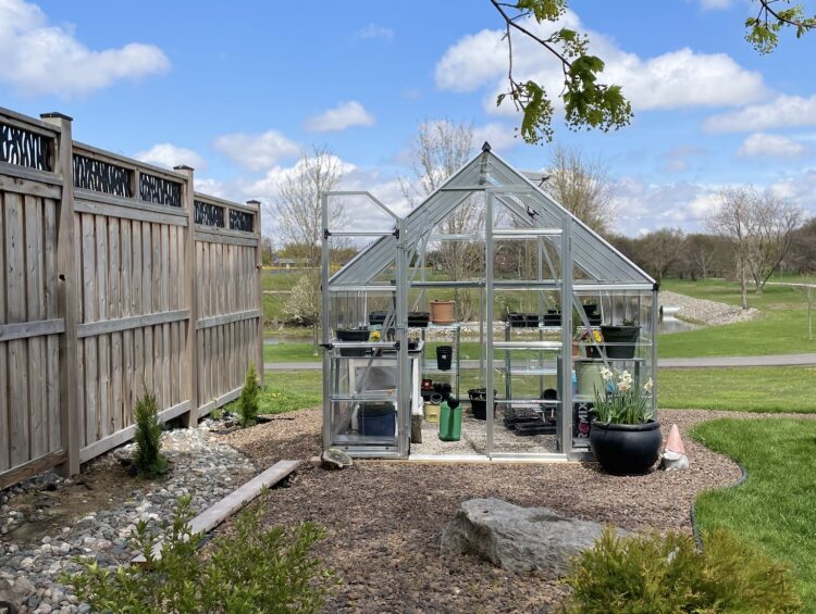 Palram-Canopia Balance 8x8ft polycarbonate backyard greenhouse built on pressure-treated wood frame foundation