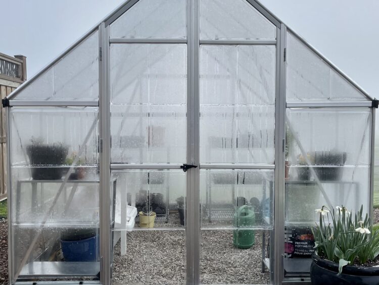 A Palram-Canopia Balance 8x8ft polycarbonate backyard greenhouse on a foggy morning