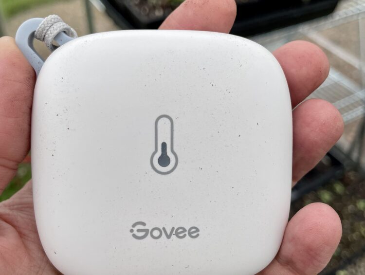 Govee Wifi Thermometer Hygrometer 5179 review - a backyard greenhouse