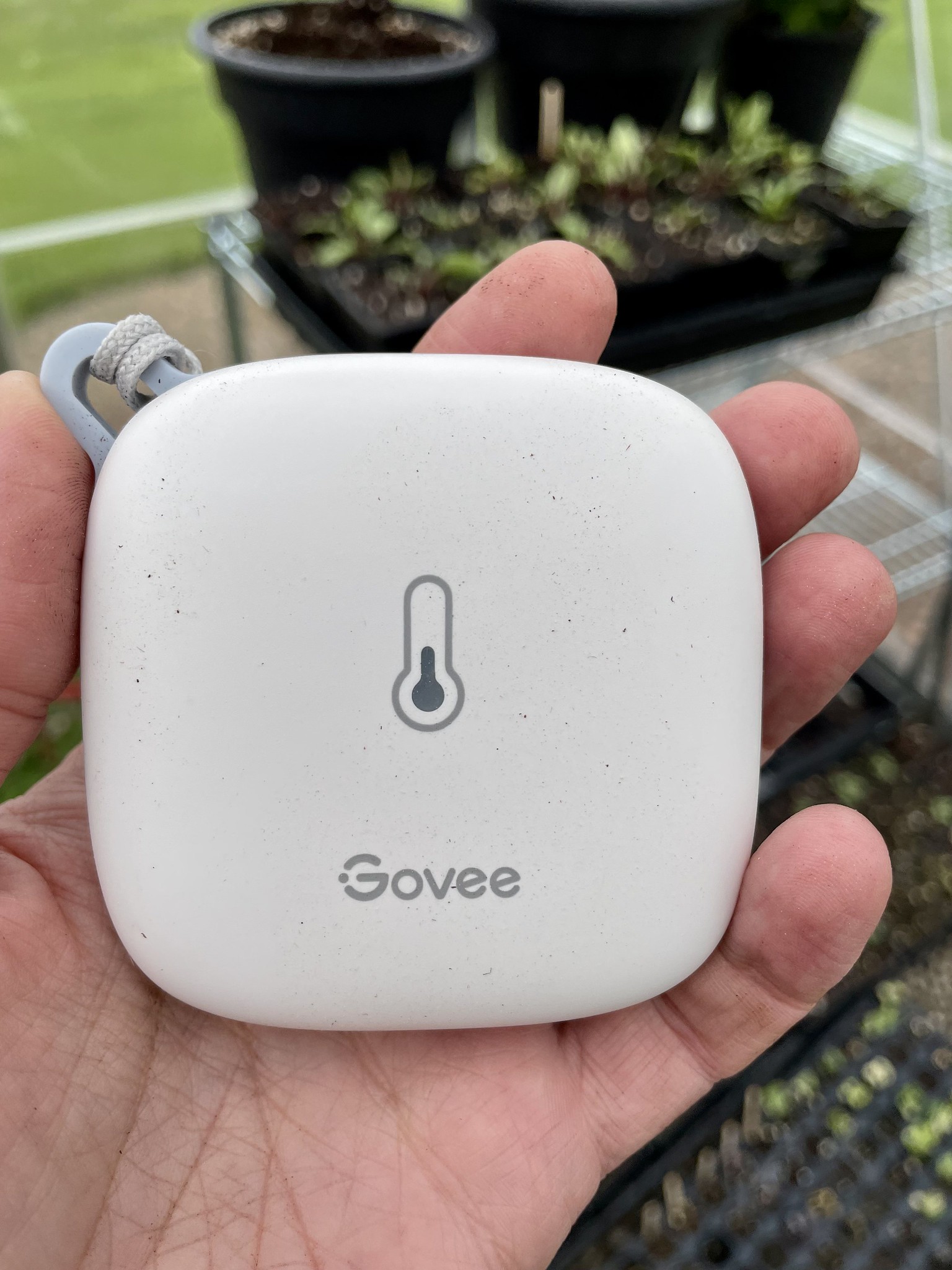 No More Dead Plants, with The Govee Wi-Fi Temperature and Humidity