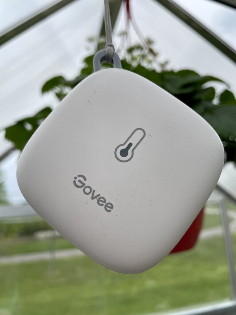 Govee Wifi Thermometer Hygrometer 5179 review - a backyard greenhouse